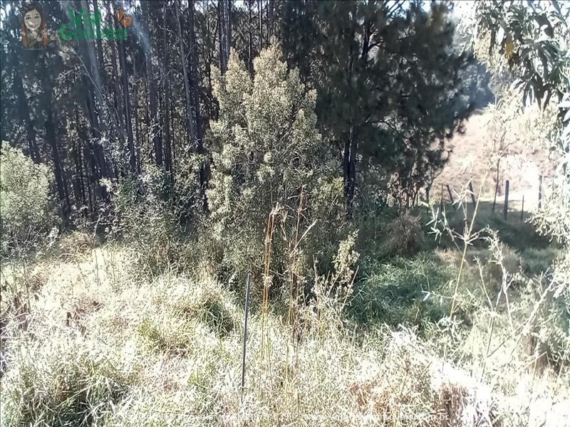 Terreno a Venda no Morada do Bosque em Resende