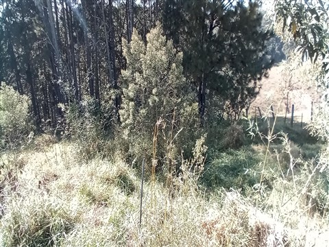 Terreno à Venda