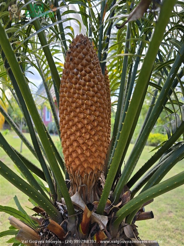 Casa a Venda no Martinelli em Penedo (Itatiaia)