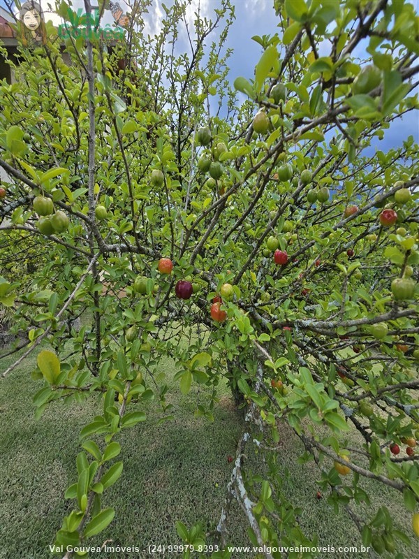 Casa a Venda no Martinelli em Penedo (Itatiaia)